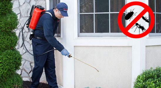 Nizip Akrep İlaçlama böcek ilaçlama ve haşere kontrolü — ilaclama-tr.com